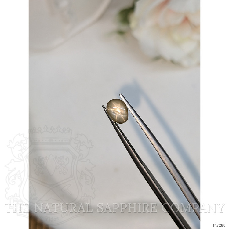 1.48 Ct. Grey Star Sapphire from Ceylon (Sri Lanka)