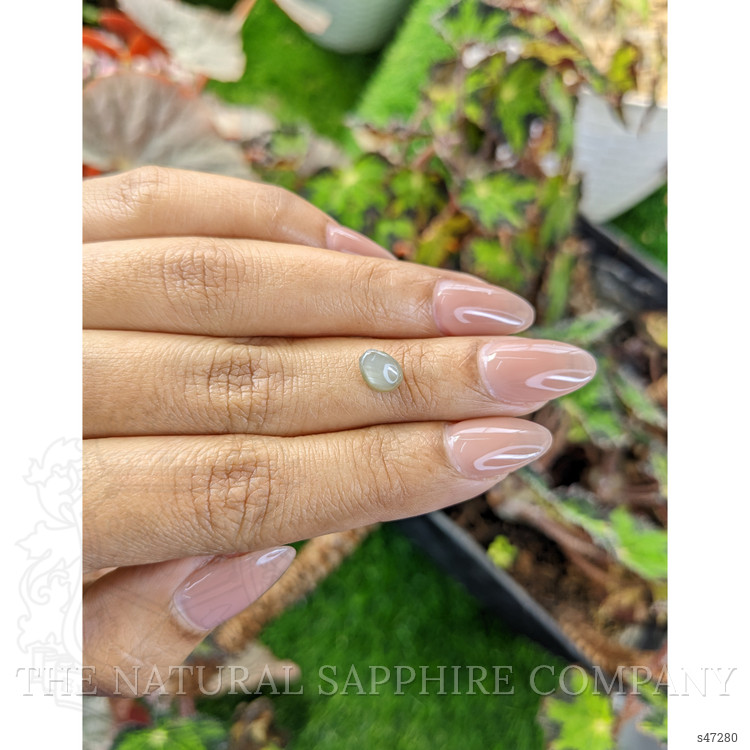 1.48 Ct. Grey Star Sapphire from Ceylon (Sri Lanka)