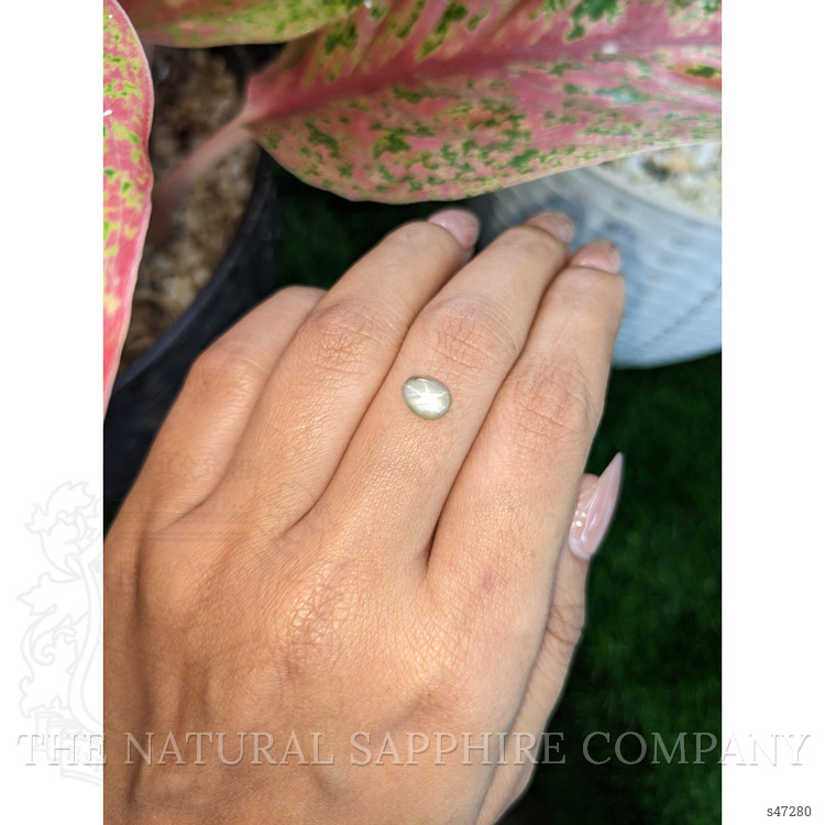 1.48 Ct. Grey Star Sapphire from Ceylon (Sri Lanka)
