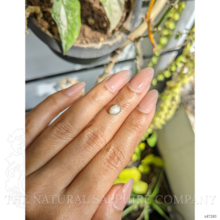 1.48 Ct. Grey Star Sapphire from Ceylon (Sri Lanka)