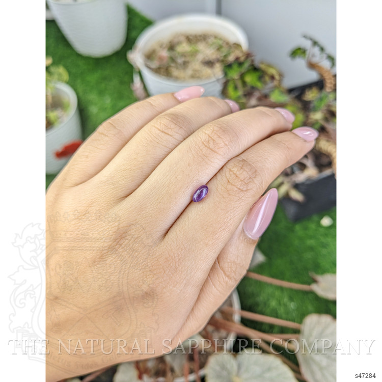 0.89 Ct. Purple Star Sapphire from Ceylon (Sri Lanka)