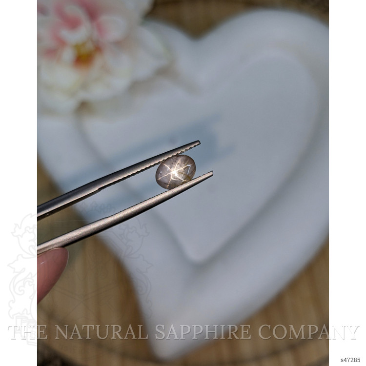 1.37 Ct. Grey Star Sapphire from Ceylon (Sri Lanka)