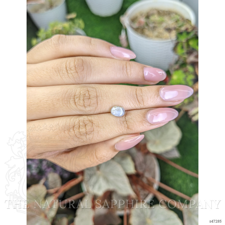 1.37 Ct. Grey Star Sapphire from Ceylon (Sri Lanka)