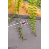 0.85 Ct. Pink Sapphire from Ceylon (Sri Lanka) Life Style