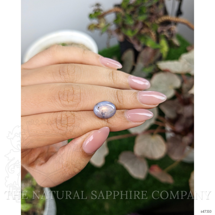 7.36 Ct. Purplish Blue Star Sapphire from Ceylon (Sri Lanka)