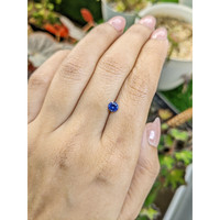 0.46 Ct. Blue Sapphire from Ceylon (Sri Lanka) Life Style