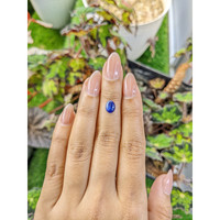 1.20 Ct. Blue Cabochon Sapphire from Ceylon (Sri Lanka) Life Style