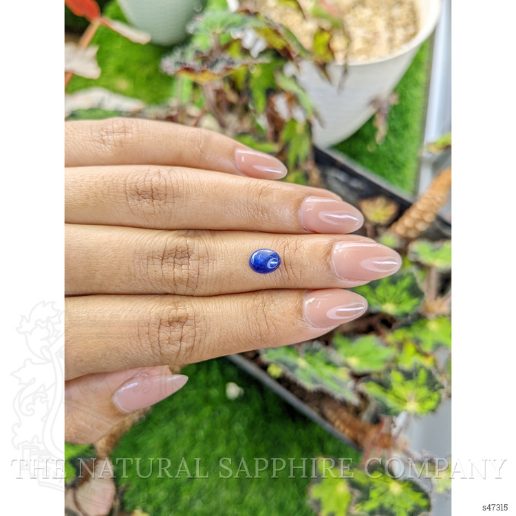 1.20 Ct. Blue Cabochon Sapphire from Ceylon (Sri Lanka)