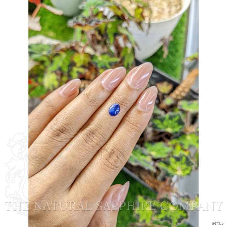 1.20 Ct. Blue Cabochon Sapphire from Ceylon (Sri Lanka)