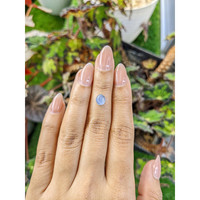 1.60 Ct. Blue Cabochon Sapphire from Ceylon (Sri Lanka) Life Style