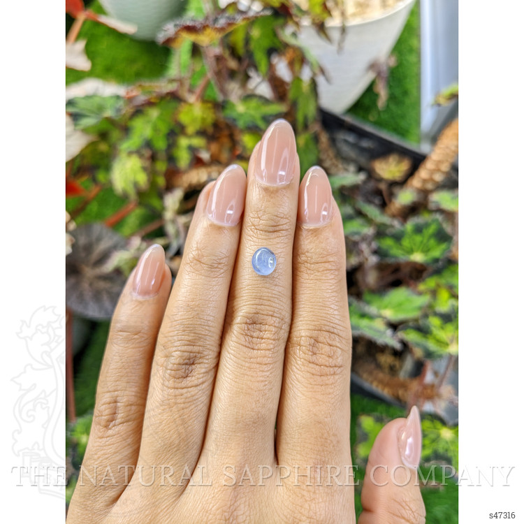 1.60 Ct. Blue Cabochon Sapphire from Ceylon (Sri Lanka)