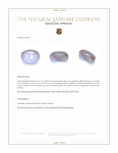 1.15 Ct. Bluish Grey Star Sapphire from Ceylon (Sri Lanka) Appraisal