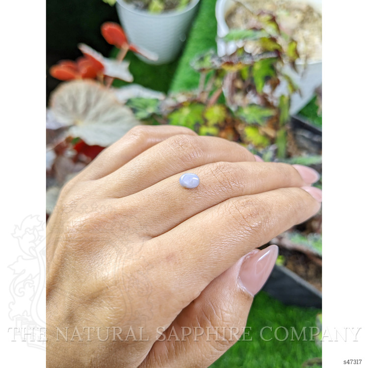 1.15 Ct. Bluish Grey Star Sapphire from Ceylon (Sri Lanka)