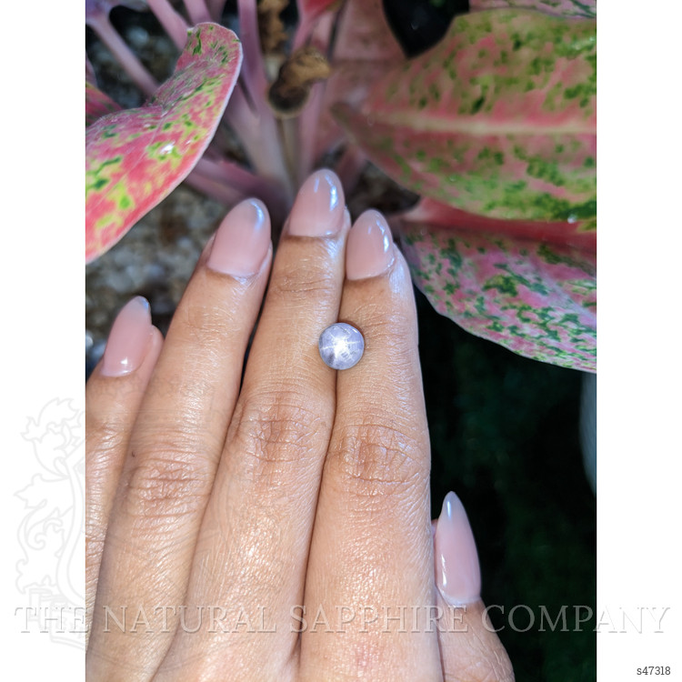 3.66 Ct. Greyish Blue Star Sapphire from Ceylon (Sri Lanka)