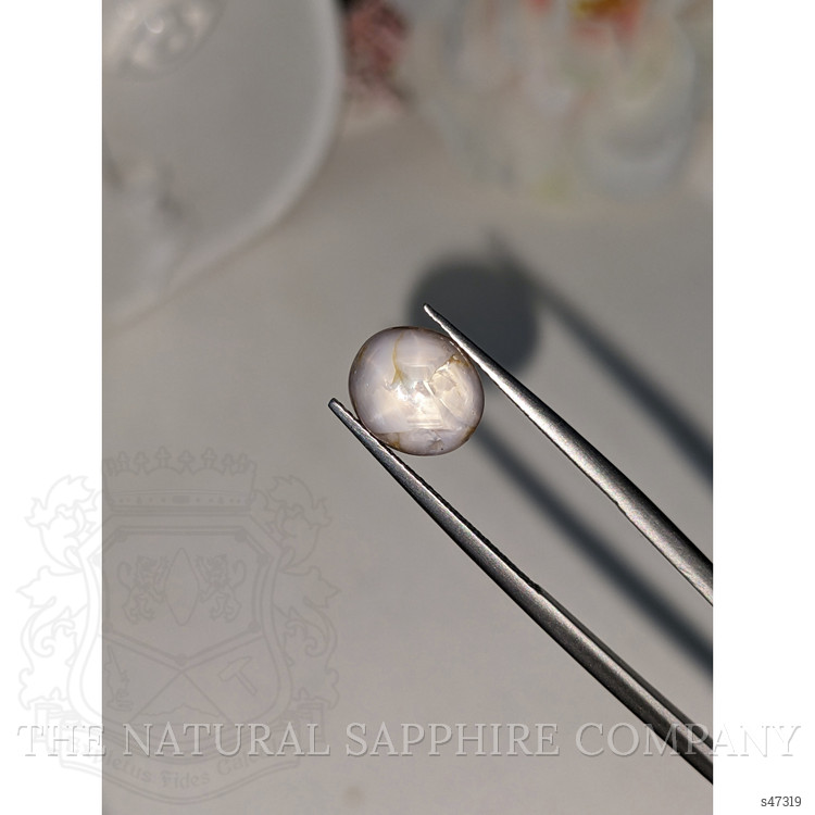 4.90 Ct. Grey Star Sapphire from Ceylon (Sri Lanka)