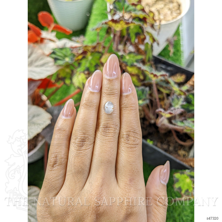 2.40 Ct. Grey Cabochon Sapphire from Ceylon (Sri Lanka)