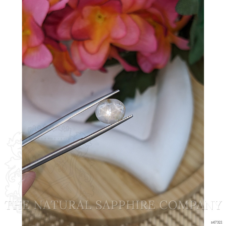 2.58 Ct. Grey Star Sapphire from Ceylon (Sri Lanka)