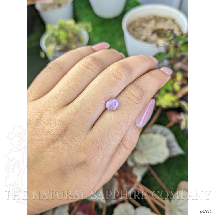 2.28 Ct. Purple Star Sapphire from Ceylon (Sri Lanka)