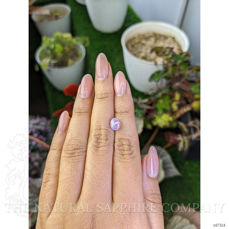 2.28 Ct. Purple Star Sapphire from Ceylon (Sri Lanka)