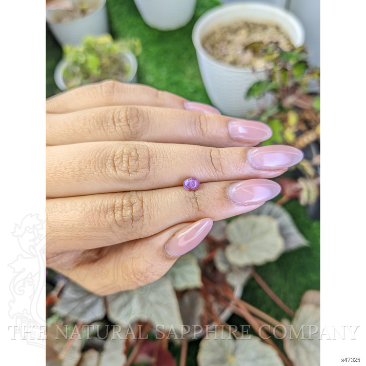 0.96 Ct. Pinkish Purple Star Sapphire from Ceylon (Sri Lanka)