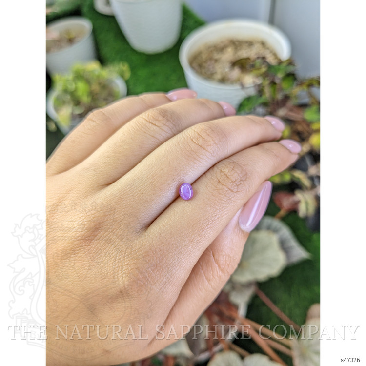 0.93 Ct. Pinkish Purple Star Sapphire from Ceylon (Sri Lanka)