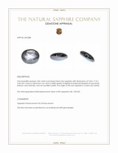 2.82 Ct. Black Star Sapphire from Ceylon (Sri Lanka) Appraisal