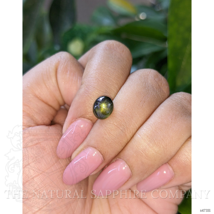 3.24 Ct. Yellowish Green Star Sapphire from Ceylon (Sri Lanka)