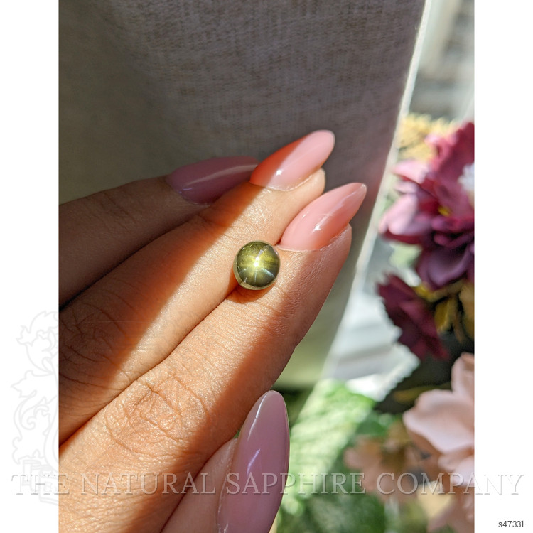 3.24 Ct. Yellowish Green Star Sapphire from Ceylon (Sri Lanka)