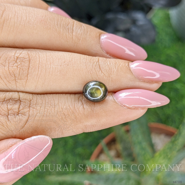 3.24 Ct. Yellowish Green Star Sapphire from Ceylon (Sri Lanka)