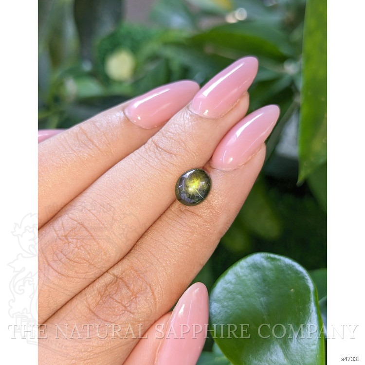 3.24 Ct. Yellowish Green Star Sapphire from Ceylon (Sri Lanka)