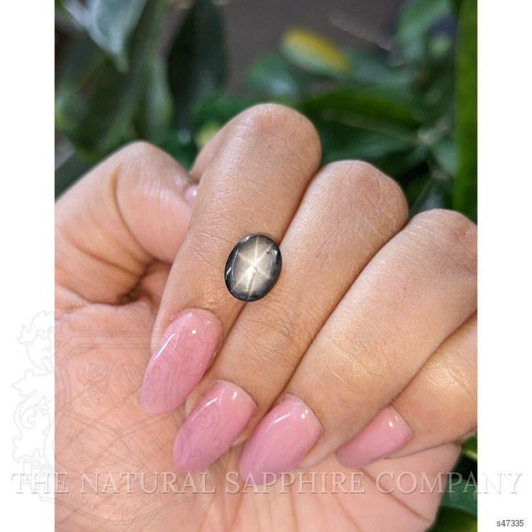 3.94 Ct. Black Star Sapphire from Ceylon (Sri Lanka)