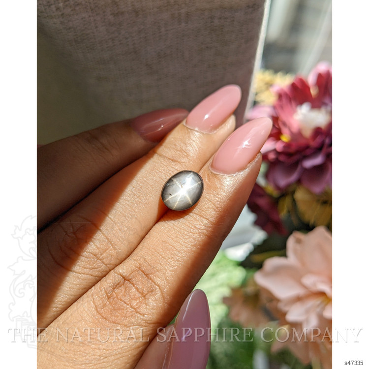 3.94 Ct. Black Star Sapphire from Ceylon (Sri Lanka)