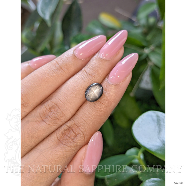 3.94 Ct. Black Star Sapphire from Ceylon (Sri Lanka)