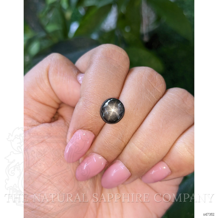 6.33 Ct. Black Star Sapphire from Ceylon (Sri Lanka)