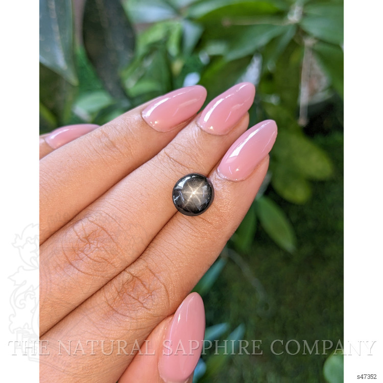 6.33 Ct. Black Star Sapphire from Ceylon (Sri Lanka)