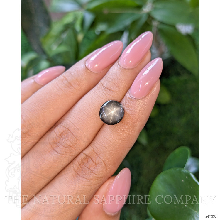 6.12 Ct. Black Star Sapphire from Ceylon (Sri Lanka)