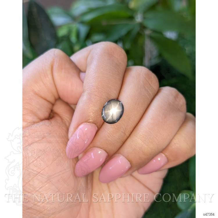 5.21 Ct. Black Star Sapphire from Ceylon (Sri Lanka)