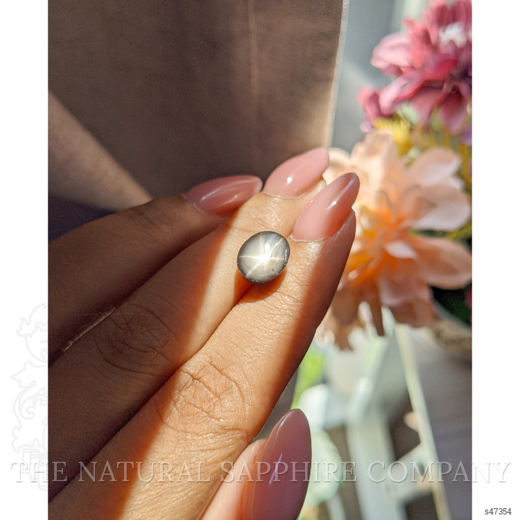 5.21 Ct. Black Star Sapphire from Ceylon (Sri Lanka)