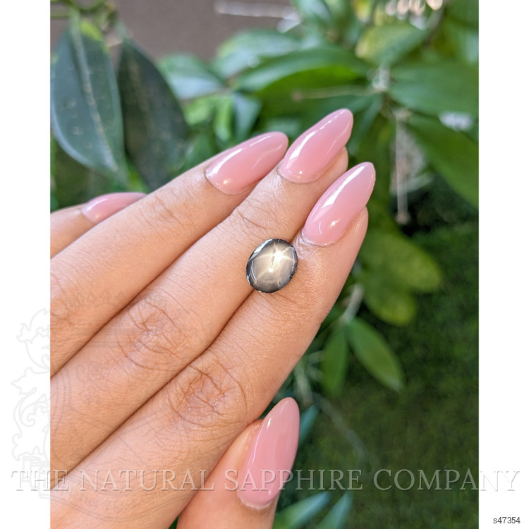 5.21 Ct. Black Star Sapphire from Ceylon (Sri Lanka)