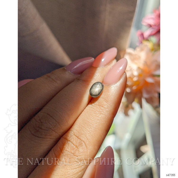 2.28 Ct. Black Star Sapphire from Ceylon (Sri Lanka)