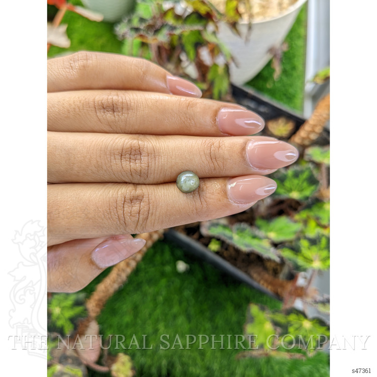 2.86 Ct. Green Star Sapphire from Ceylon (Sri Lanka)