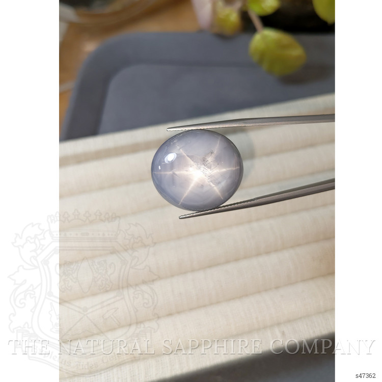57.63 Ct. Bluish Grey Star Sapphire from Ceylon (Sri Lanka)