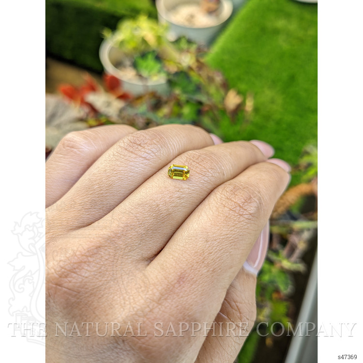 0.60 Ct. Greenish Yellow Sapphire from Ceylon (Sri Lanka)