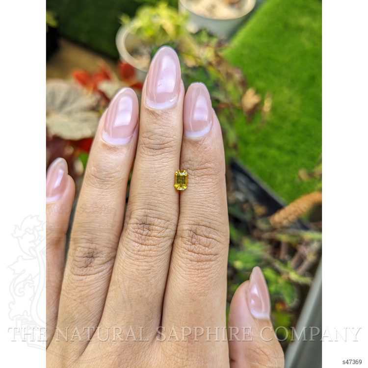 0.60 Ct. Greenish Yellow Sapphire from Ceylon (Sri Lanka)