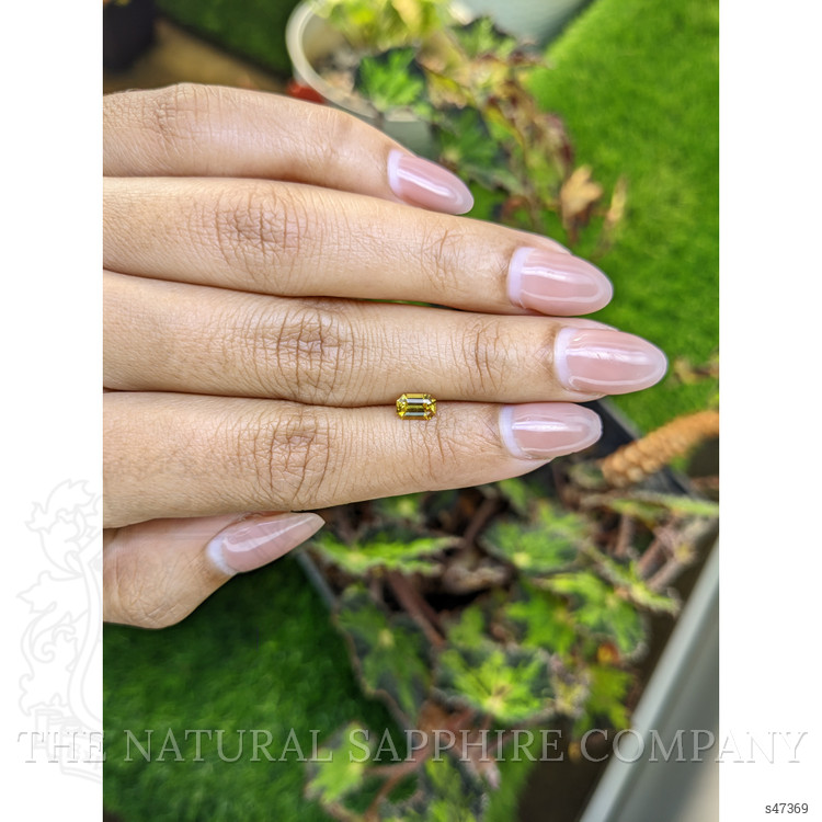 0.60 Ct. Greenish Yellow Sapphire from Ceylon (Sri Lanka)