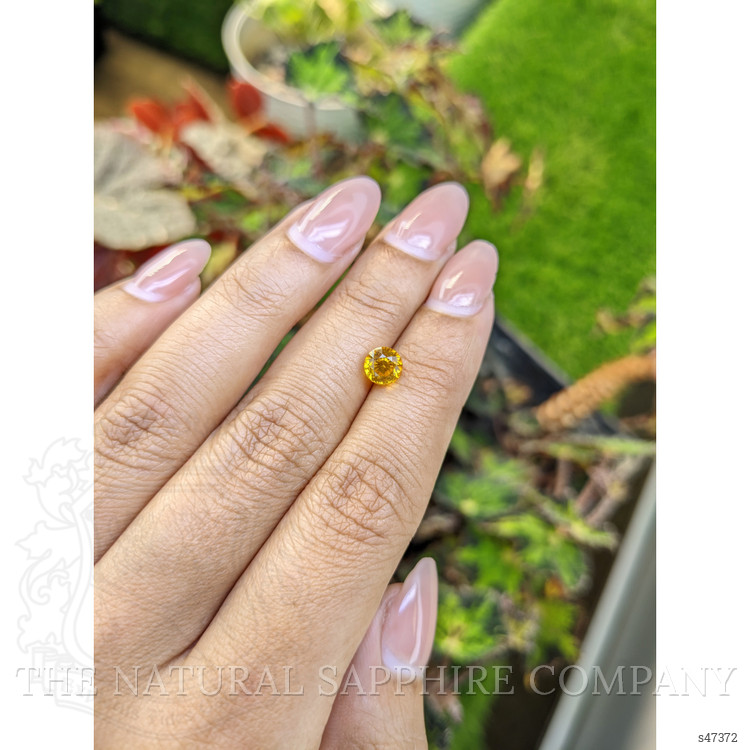 1.43 Ct. Orangish Yellow Sapphire from Ceylon (Sri Lanka)