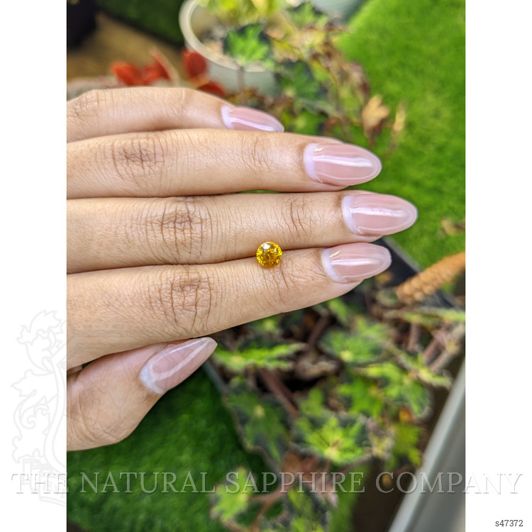 1.43 Ct. Orangish Yellow Sapphire from Ceylon (Sri Lanka)