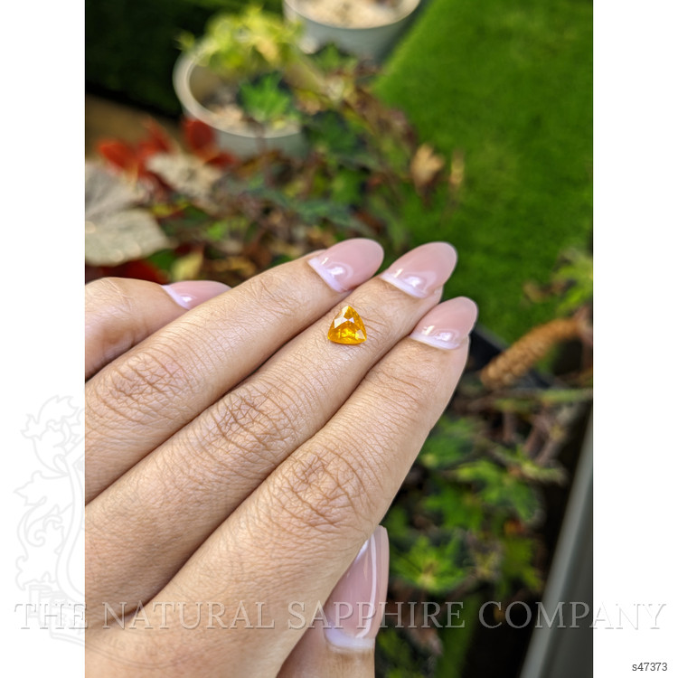 1.39 Ct. Yellowish Orange Sapphire from Ceylon (Sri Lanka)
