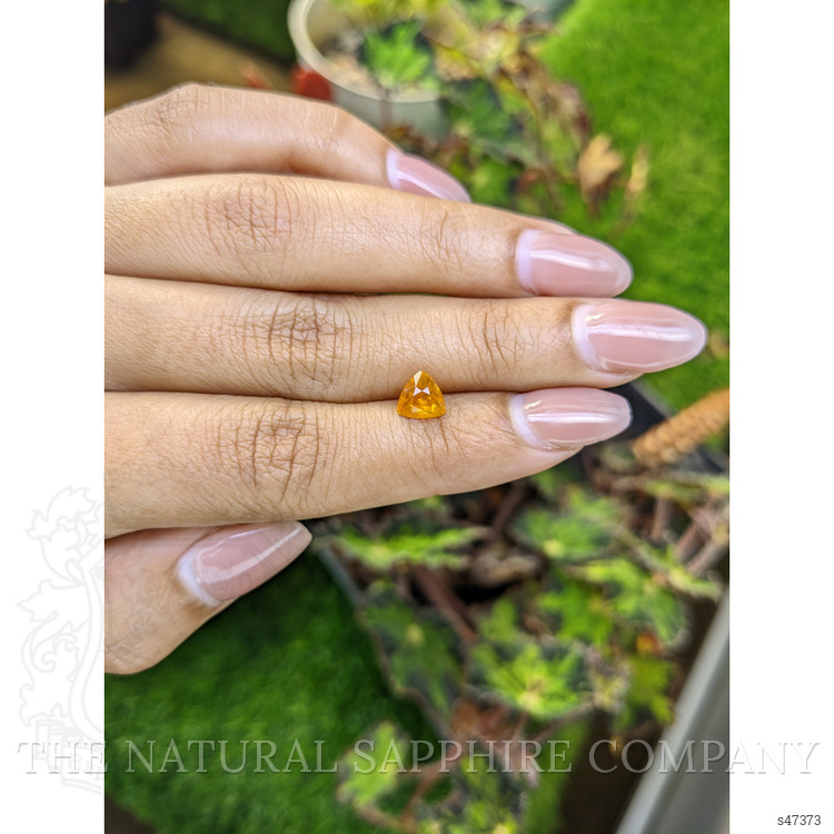 1.39 Ct. Yellowish Orange Sapphire from Ceylon (Sri Lanka)