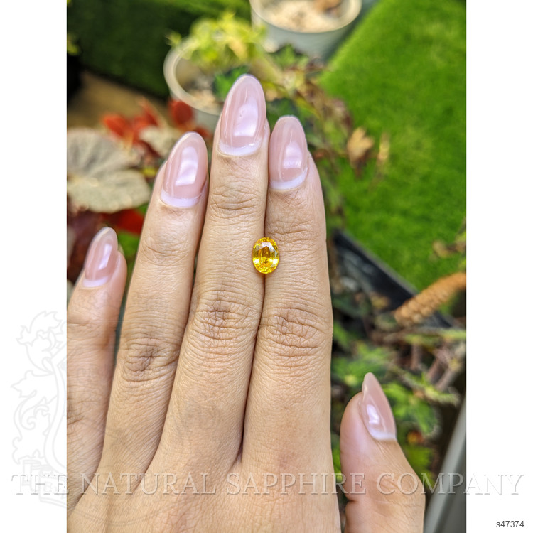 1.44 Ct. Orangish Yellow Sapphire from Ceylon (Sri Lanka)